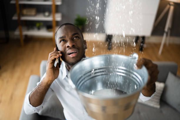 Carpet water damage restoration in Smithville Sanders, IN