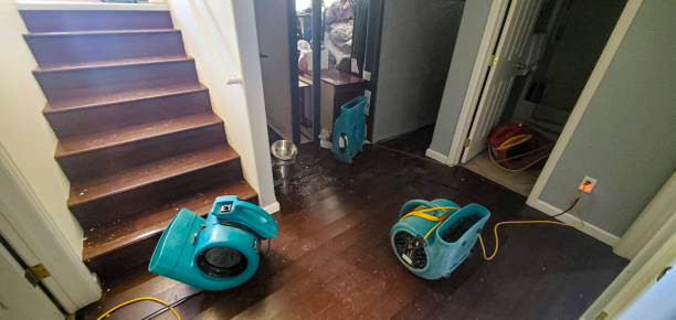 Best Carpet water damage restoration  in Smithville Sanders, IN